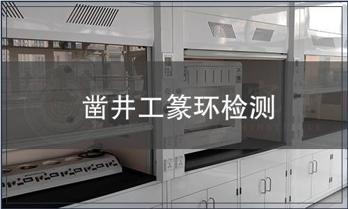 鑿井工篆環檢測