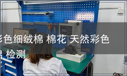 天然彩色細(xì)絨棉 棉花 天然彩色細(xì)絨棉 檢測(cè)