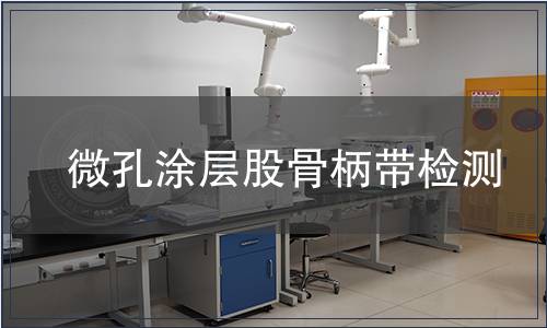 微孔涂層股骨柄帶檢測