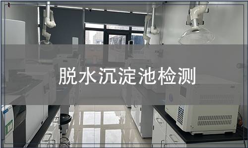 脫水沉淀池檢測