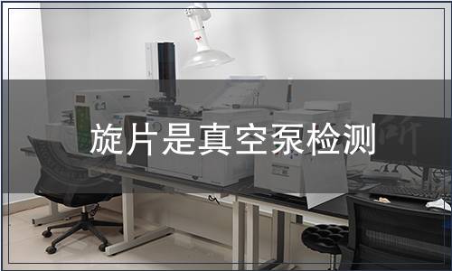 旋片是真空泵檢測