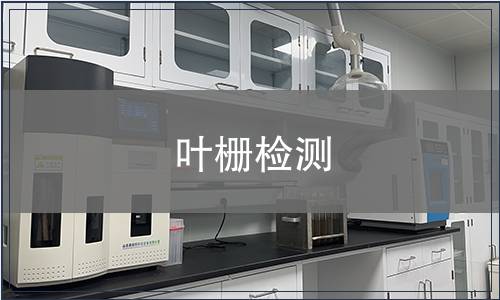 葉柵檢測