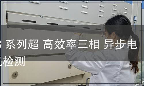 YE3 系列超 高效率三相 異步電動機檢測