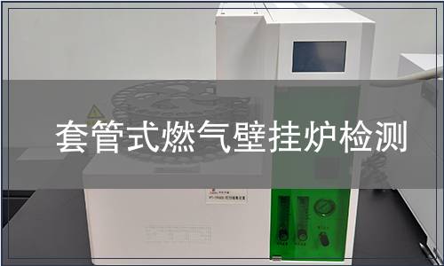 套管式燃?xì)獗趻鞝t檢測(cè)