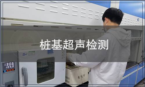 樁基超聲檢測(cè)