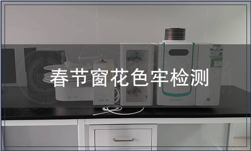 春節(jié)窗花色牢檢測