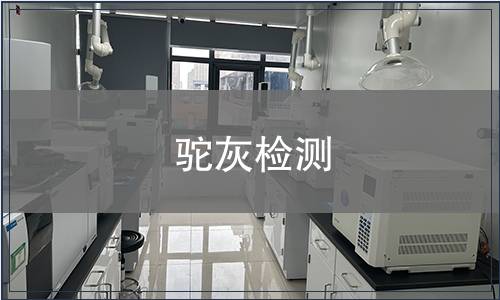 駝灰檢測