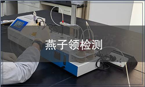 燕子領(lǐng)檢測