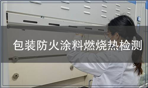 包裝防火涂料燃燒熱檢測