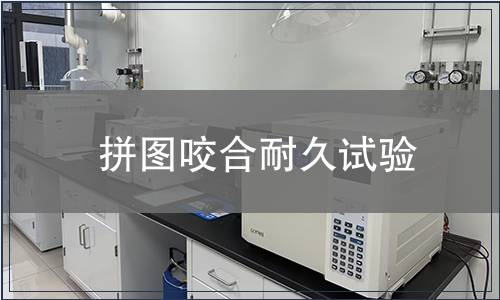 拼圖咬合耐久試驗(yàn)