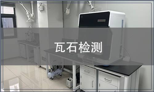 瓦石檢測(cè)