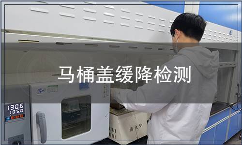 馬桶蓋緩降檢測(cè)