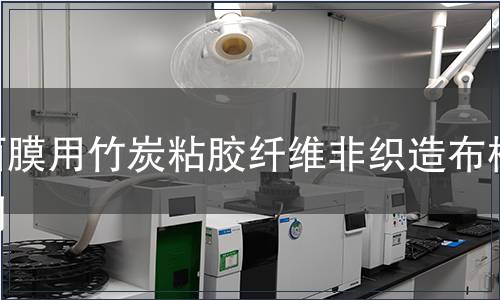 面膜用竹炭粘膠纖維非織造布檢測