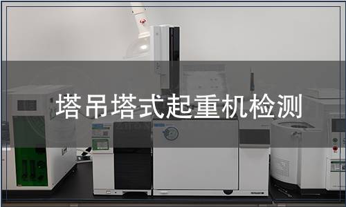 塔吊塔式起重機檢測