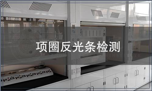 項圈反光條檢測