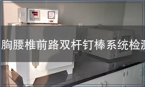 胸腰椎前路雙桿釘棒系統檢測