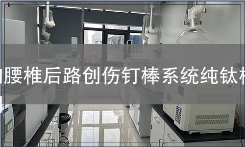 胸腰椎后路創傷釘棒系統純鈦檢測