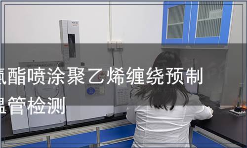 硬質(zhì)聚氨酯噴涂聚乙烯纏繞預(yù)制直埋保溫管檢測(cè)