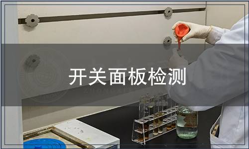 開(kāi)關(guān)面板檢測(cè)