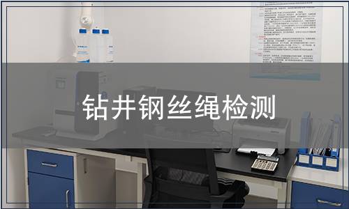 鉆井鋼絲繩檢測