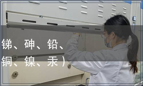 可萃取的重金屬（銻、砷、鉛、鎘、六價鉻、鈷、銅、鎳、汞）檢測