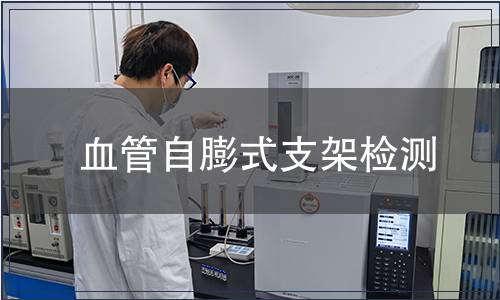 血管自膨式支架檢測