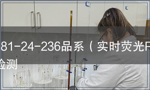 281-24-236品系（實(shí)時(shí)熒光PCR）檢測(cè)