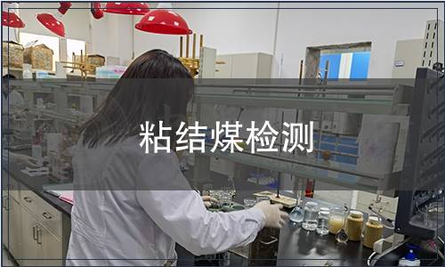 粘結煤檢測