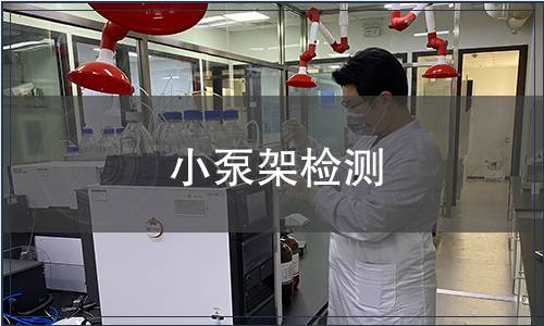 小泵架檢測