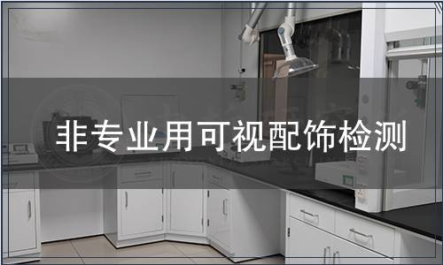 非      用可視配飾檢測