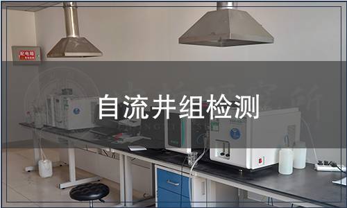 自流井組檢測