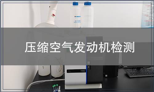 壓縮空氣發動機檢測