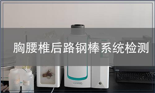 胸腰椎后路鋼棒系統檢測