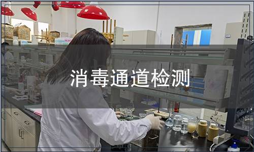 消毒通道檢測