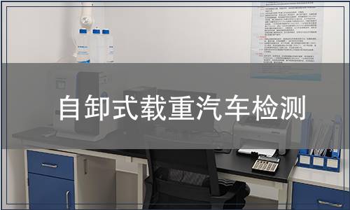 自卸式載重汽車檢測