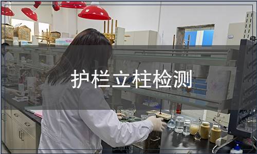 護(hù)欄立柱檢測