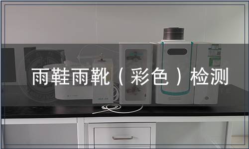 雨鞋雨靴（彩色）檢測(cè)