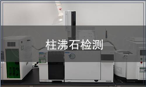 柱沸石檢測