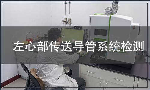 左心部傳送導(dǎo)管系統(tǒng)檢測