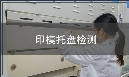 印模托盤檢測
