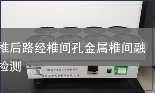 胸腰椎后路經椎間孔金屬椎間融合器檢測