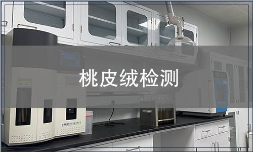 桃皮絨檢測