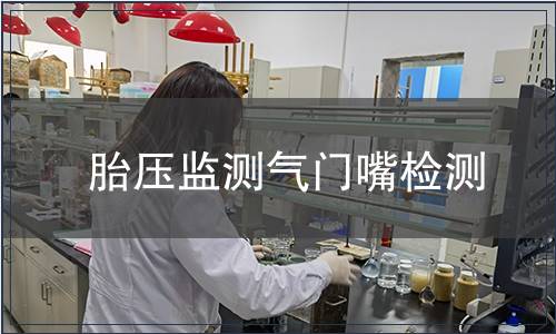胎壓監(jiān)測(cè)氣門嘴檢測(cè)