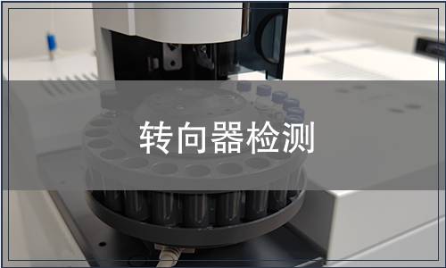 轉(zhuǎn)向器檢測(cè)