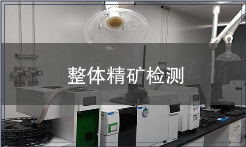 整體精礦檢測