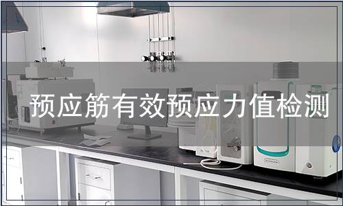 預應筋有效預應力值檢測