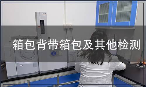 箱包背帶箱包及其他檢測