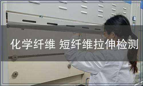 化學(xué)纖維 短纖維拉伸檢測(cè)