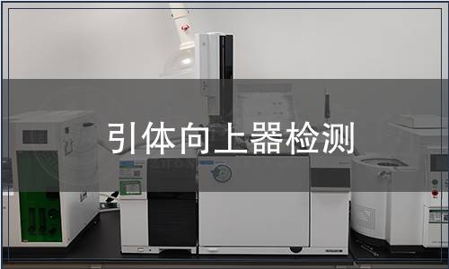 引體向上器檢測