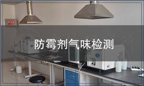 防霉劑氣味檢測(cè)